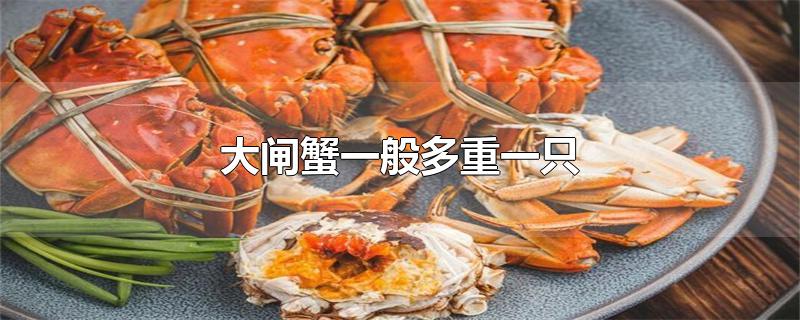 大闸蟹一般多重一只