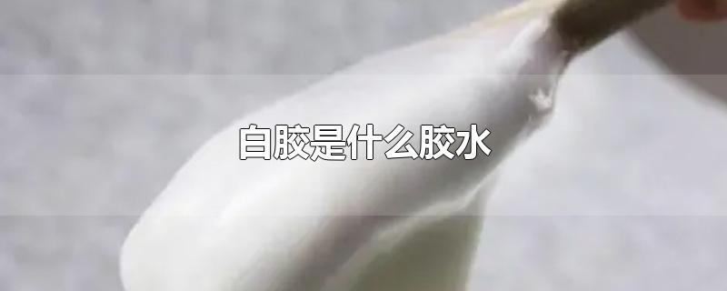 白胶是什么胶水