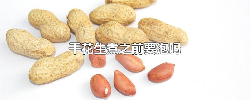 干花生煮之前要泡吗