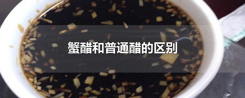 蟹醋和普通醋的区别