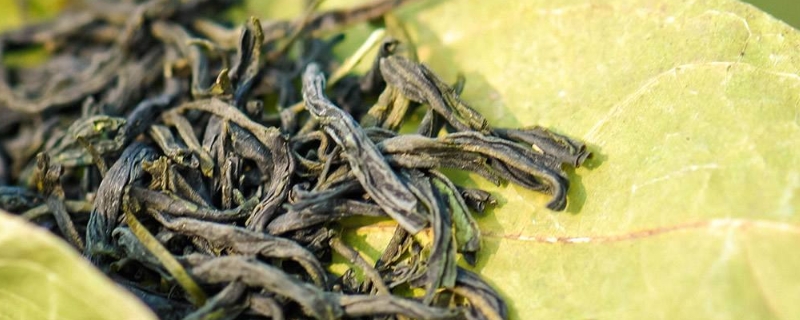 茶叶是什么时候出现的