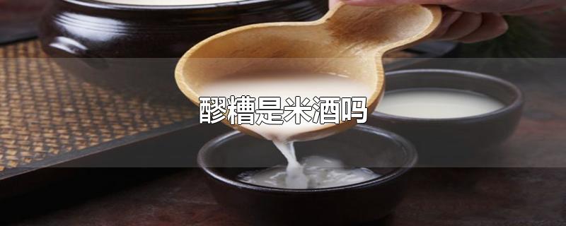 醪糟是米酒吗