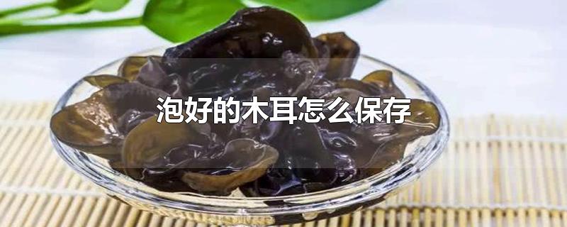 泡好的木耳怎么保存