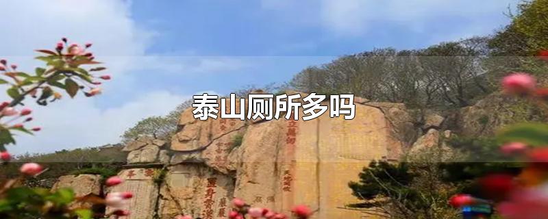泰山厕所多吗
