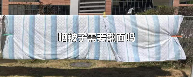 晒被子需要翻面吗
