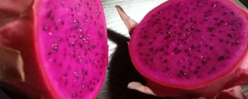火龙果蒸馒头为什么变黄