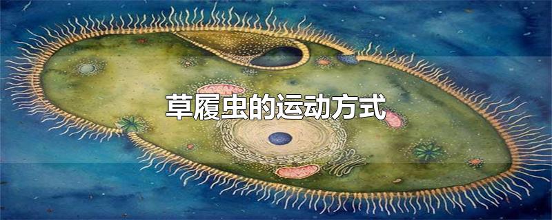草履虫的运动方式