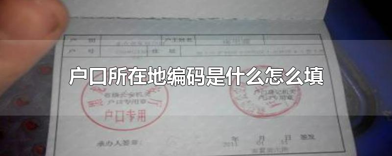 户口所在地编码是什么怎么填