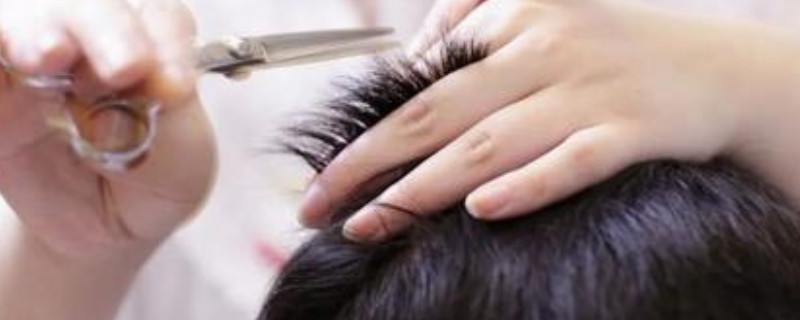 龙抬头为什么要剪头发