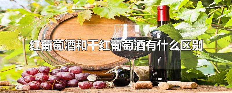 红葡萄酒和干红葡萄酒有什么区别