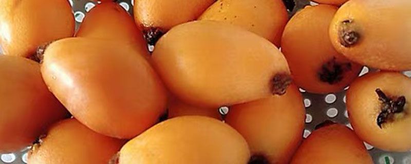 为什么剥枇杷手会黑