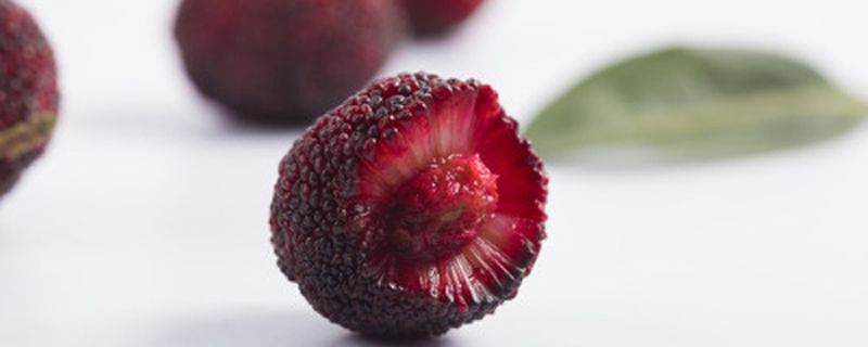 杨梅可以泡一晚上吗