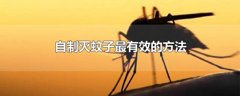 自制灭蚊子最有效的方法
