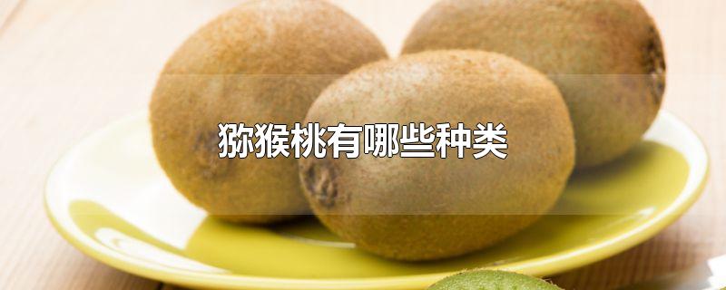 猕猴桃有哪些种类