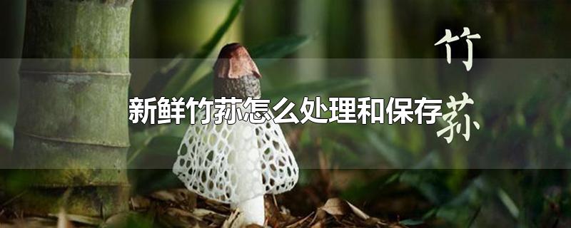 新鲜竹荪怎么处理和保存