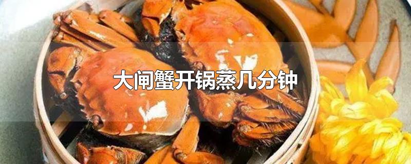 大闸蟹开锅蒸几分钟
