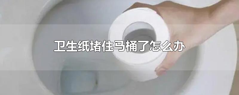 卫生纸堵住马桶了怎么办