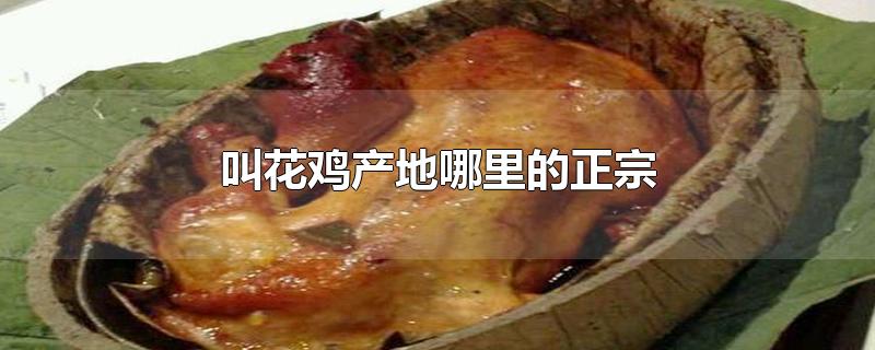 叫花鸡产地哪里的正宗