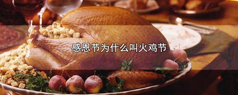 感恩节为什么叫火鸡节