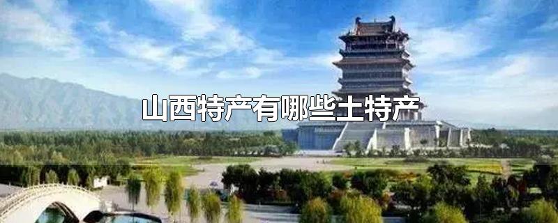 山西特产有哪些土特产