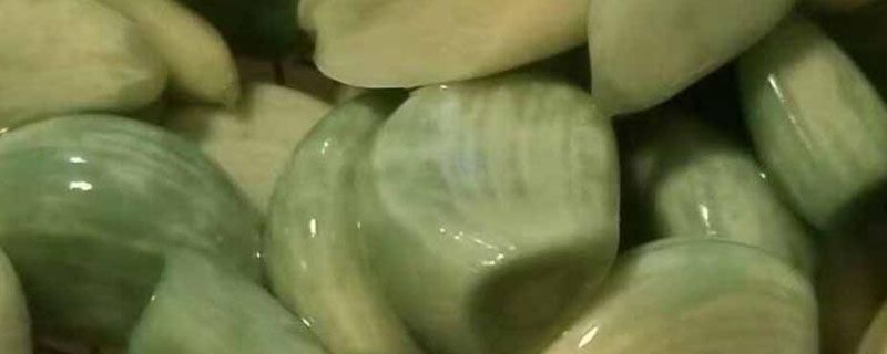 腊八蒜变绿后又褪色了