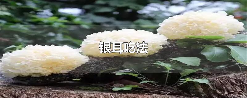 银耳吃法