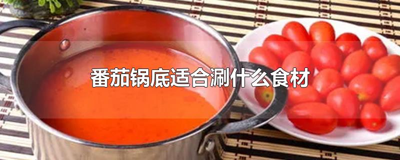 番茄锅底适合涮什么食材