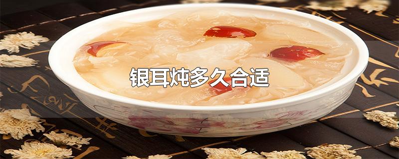 银耳炖多久合适
