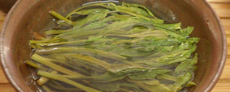 猴魁茶叶叶片为什么那么大