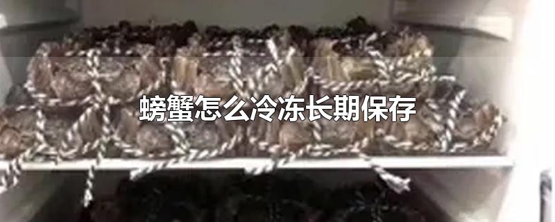 螃蟹怎么冷冻长期保存