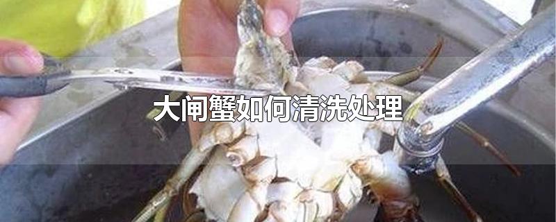 大闸蟹如何清洗处理
