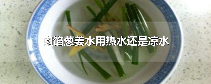 肉馅葱姜水用热水还是凉水