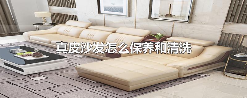 真皮沙发怎么保养和清洗