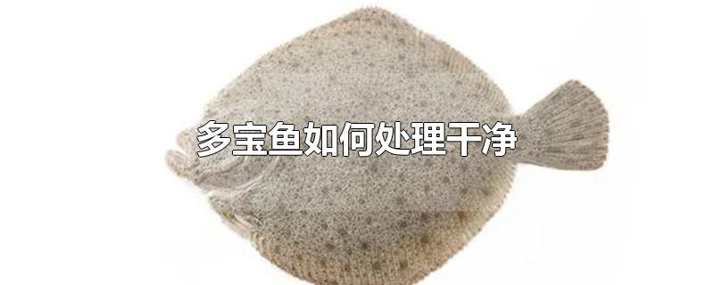 多宝鱼如何处理干净