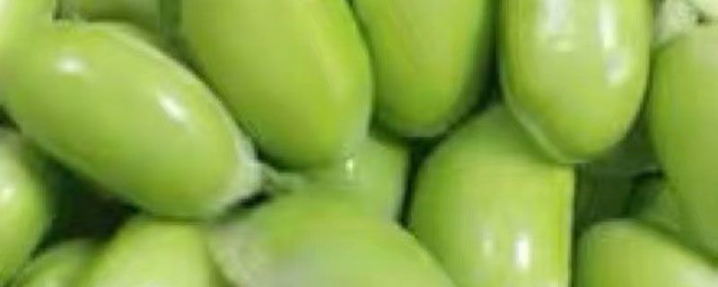 鲜毛豆怎么储存在冰箱