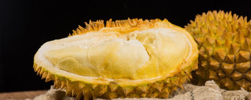 青皮猫山王怎么判断熟了