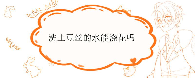 洗土豆丝的水能浇花吗