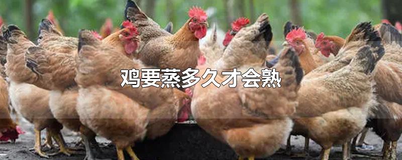 鸡要蒸多久才会熟