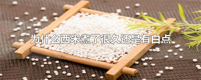 为什么西米煮了很久还是有白点