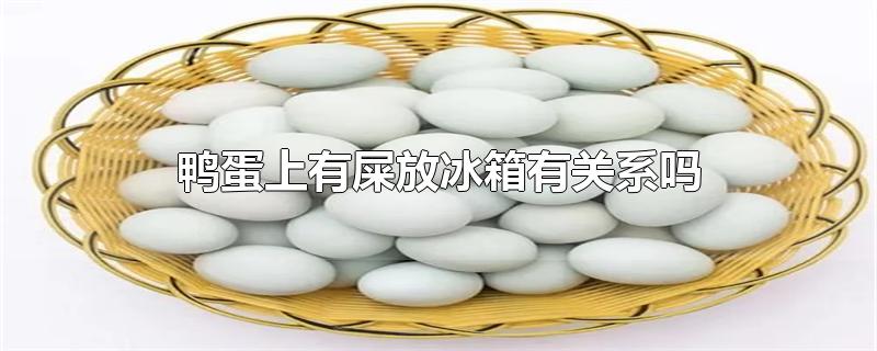 鸭蛋上有屎放冰箱有关系吗