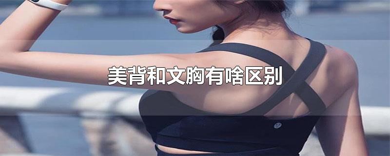 美背和文胸有啥区别