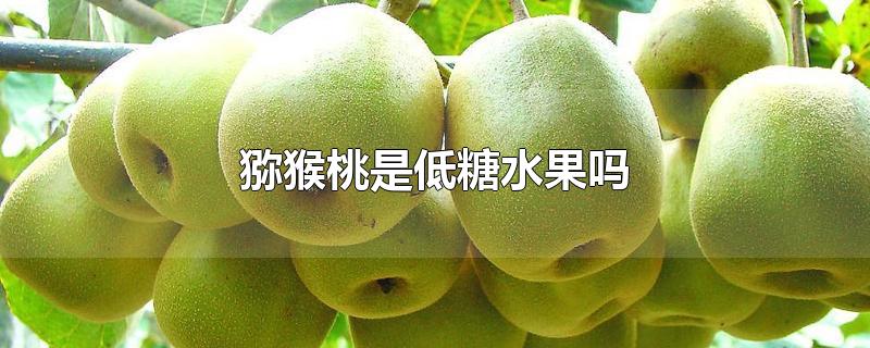 猕猴桃是低糖水果吗