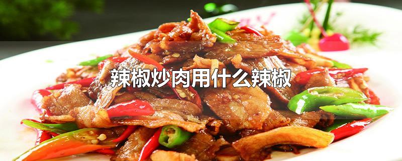 辣椒炒肉用什么辣椒