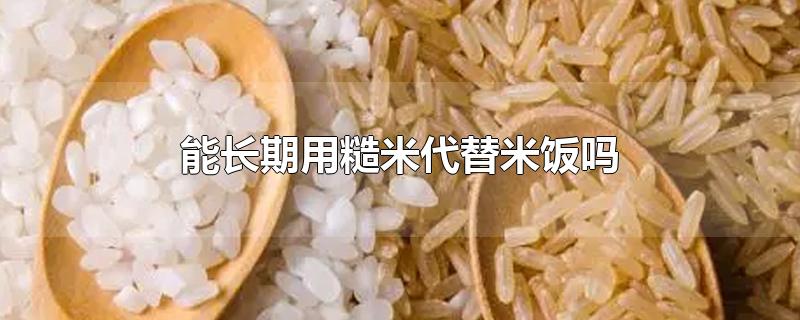 能长期用糙米代替米饭吗