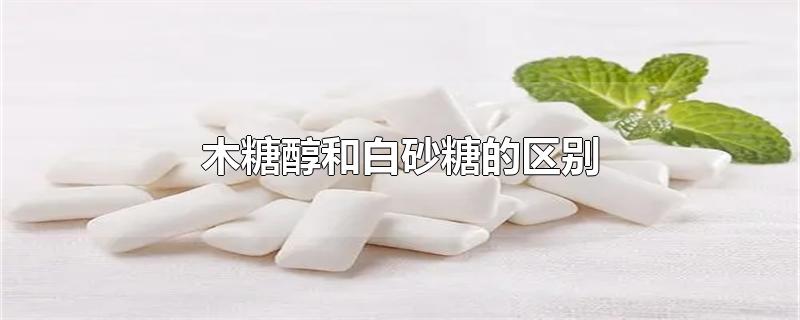 木糖醇和白砂糖的区别