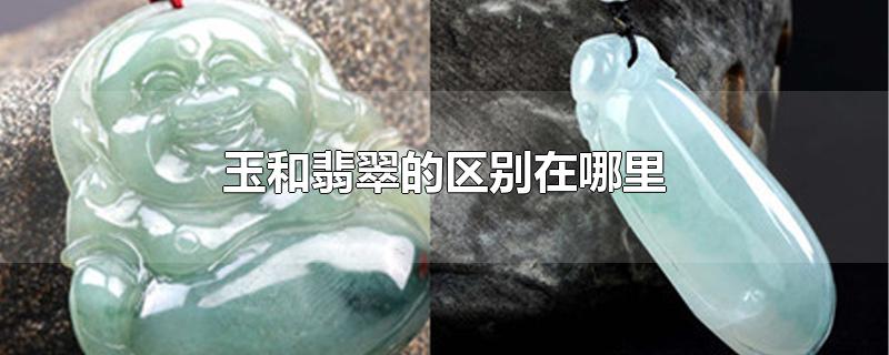 玉和翡翠的区别在哪里