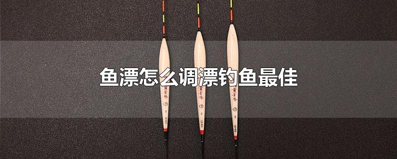 鱼漂怎么调漂钓鱼最佳