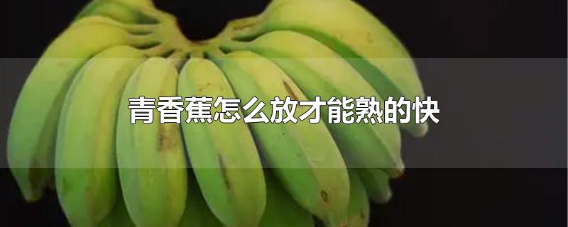 青香蕉怎么放才能熟的快