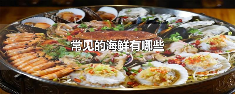 常见的海鲜有哪些