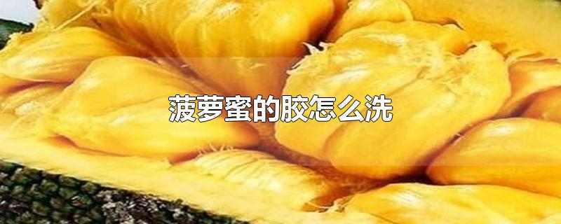 菠萝蜜的胶怎么洗